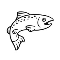 Fish10042
