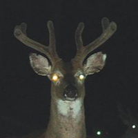 horny_american_faggot horny_american_faggot